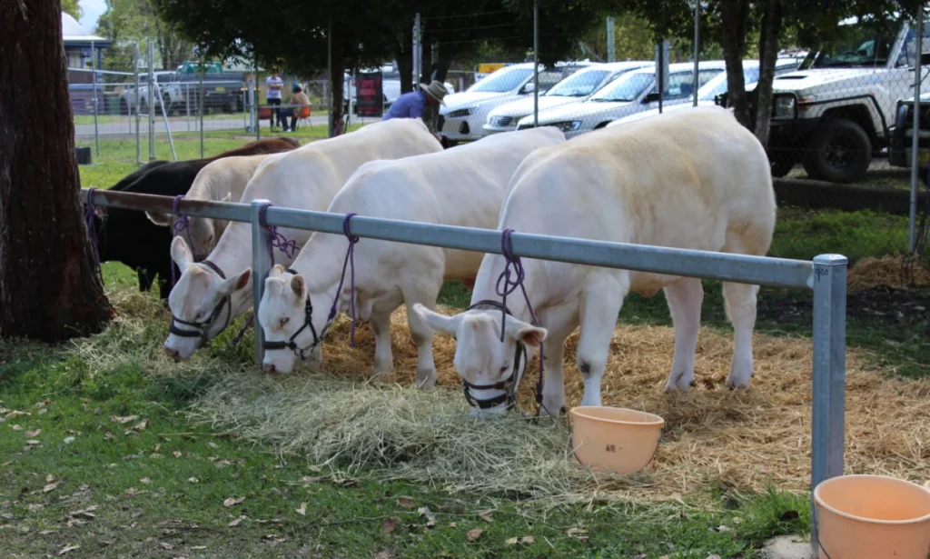 Nimbin A&I Society Inc